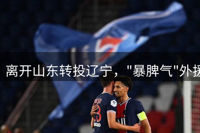 离开山东转投辽宁，"暴脾气"外援能否迎来新生？辽宁男篮新赛季布局大揭秘