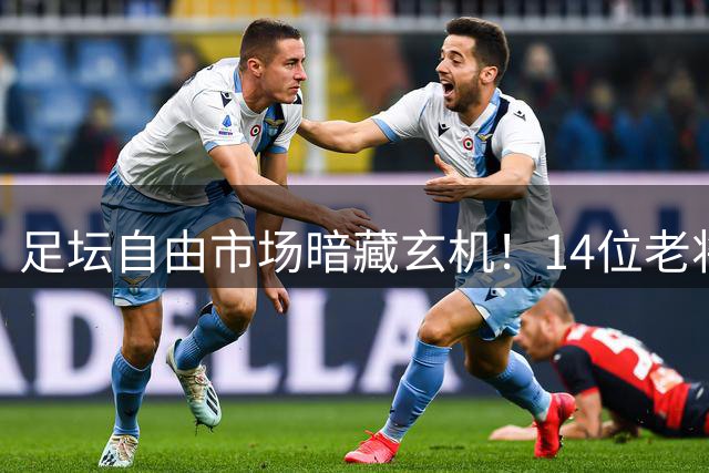 足坛自由市场暗藏玄机！14位老将谁能迎来职业生涯第二春？